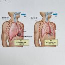 복싱코어 아카데미 | 잼잼피트니스 아카데미 코어와 호흡 교육 후기