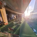 (주)송도골프 이미지