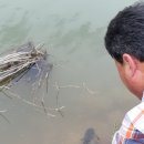 추곡터널낚시터 이미지