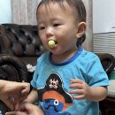 보영정육식당