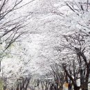 마중리 마을회관 이미지