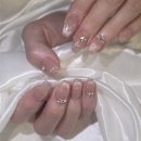 어화둥둥 내강아지 | 부겐빌리아 이신영대표님 웨딩촬영 후기 | 비용·시간 총정리 + 반려견 동반 촬영 꿀팁