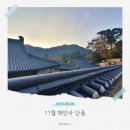 팔만대장경 | 가야산 합천 해인사 11월 가을 단풍 명소 팔만대장경 후기