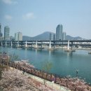 명지 호프 이미지