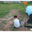 원석농장 이미지