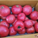 진주텃밭 이미지