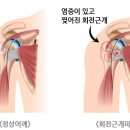 태림메디칼 이미지