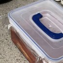 싱싱와글와글 - 9890 | 싱싱와글와글