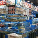 회뜨는수산 - 시흥시 은행로149번길 6 | 회뜨는수산