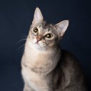 스튜디오아워 네이버블로그