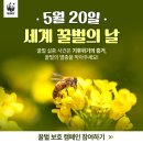 WWF(세계자연기금)와 꿀벌 보호 켐페인 " 5월 20일은 세계 벌의 날" 이미지