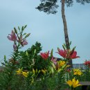 가야2리 이미지