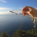 6-141 TS | 지적이고 섹시한 남자를 위한 일본 안경 추천 브랜드 테츠오 23 후기