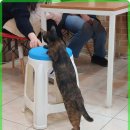 참좋은부동산공인중개사사무소 이미지