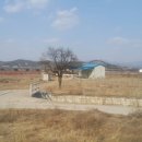 북영천IC Daum카페