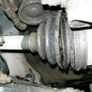 애니카랜드 낙양점 이미지