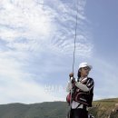 찌사랑낚시 이미지