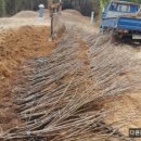 후인농장 이미지