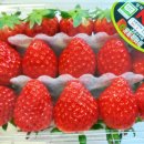 은혜 청과 야채 이미지