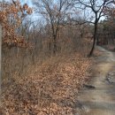 고모령길 이미지