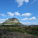 사우스사계 이미지