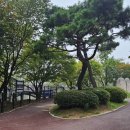 중리천로113번길 이미지