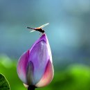 죽동체육공원 이미지