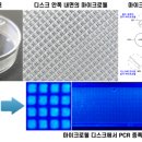 나노사이언스