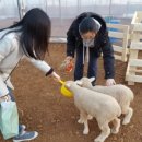 오정농장 이미지