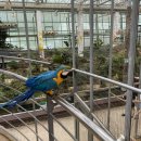 경주버드파크 이미지