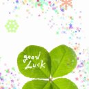 우리들생활안전(주) 이미지