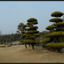 하이트 진로 전주공장 이미지