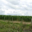 명우농장 이미지