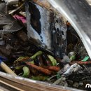 광산-비아-광산-59 이미지