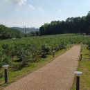 황무로 2 이미지