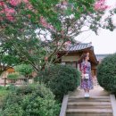 고은세탁 이미지