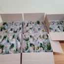 신호초병설유치원 이미지