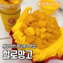 세부 망고빙수 맛집 | 막탄 제이파크 옆 샹스몰 할로망고 후기