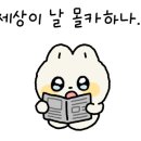 살롱벨르 이미지