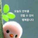 하안중앙상가 네이버블로그