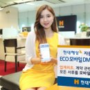 DM 시스템 이미지