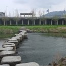 부산의 봄, 우리 동네 한 바퀴 벚꽃 , [ 예림초등학교 26회, 최 종대 ] 이미지