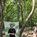 2조 부모 참여수업(숲 체험) - 숲속 놀이터 이미지