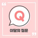 Y.E.S세진주