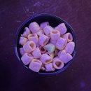 아지트케이 수원역 로데오점 | 수원역 술집 핫플 매산로맨틱 분위기에 취하는 안주 맛집 데이트 후기
