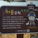 처용암 Daum카페