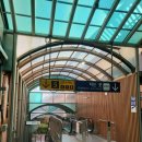 대곡 | 교외선 대곡-의정부 왕복 주말 내돈내산 후기