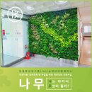파인트리홈