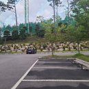 기장동원로얄컨트리클럽 이미지