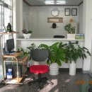 대원카클리닉 이미지